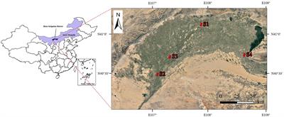 Soil bacterial diversity and community structure of Suaeda glauca vegetation in the Hetao Irrigation District, Inner Mongolia, China